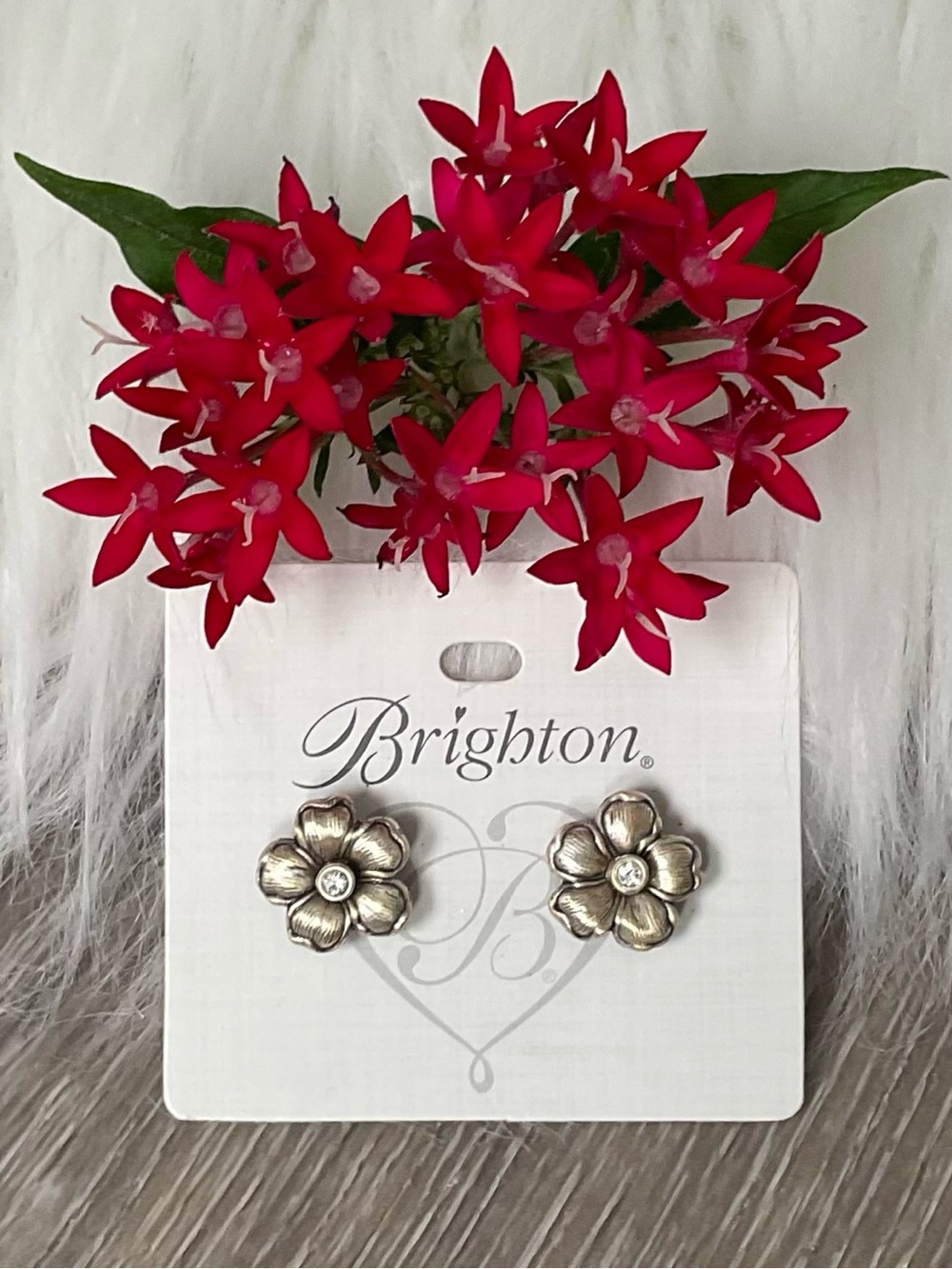 🌺 BRIGHTON Silver Flower Retro Garden Mini Post Earrings